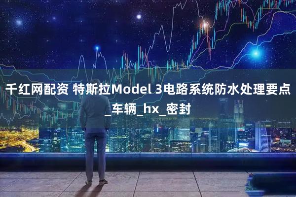 千红网配资 特斯拉Model 3电路系统防水处理要点_车辆_hx_密封