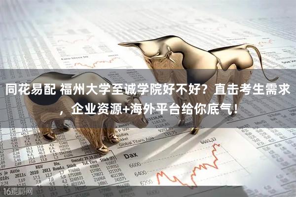 同花易配 福州大学至诚学院好不好？直击考生需求，企业资源+海外平台给你底气！